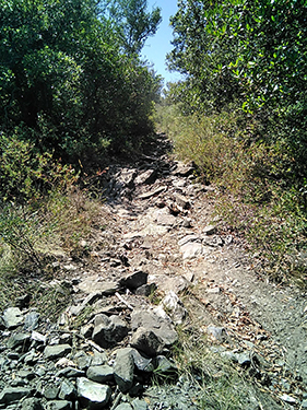 camino piedras