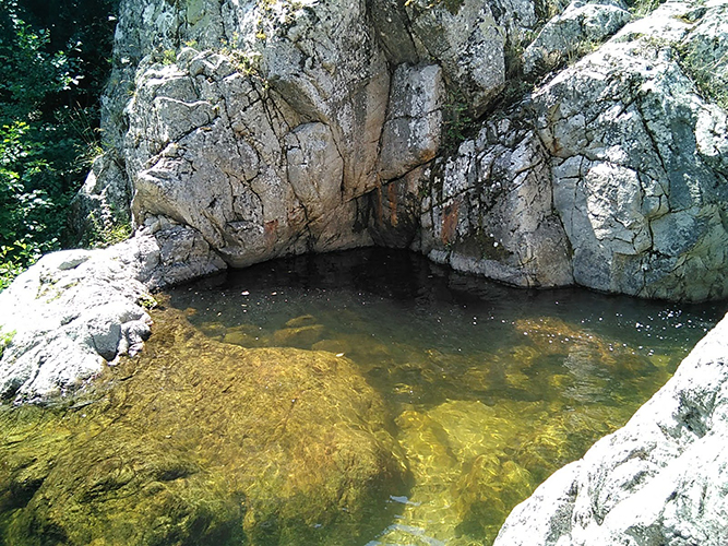 piscina natural 2